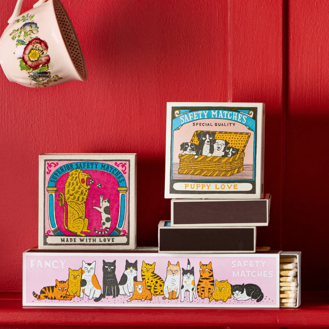 Boxed Wooden Matches: Big Cat Little Cat